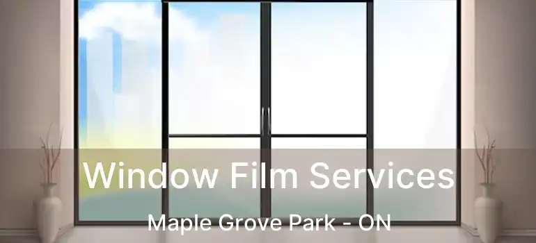  Window Film Services Maple Grove Park - ON