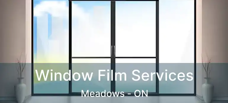  Window Film Services Meadows - ON
