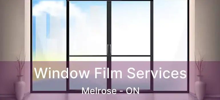 Window Film Services Melrose - ON