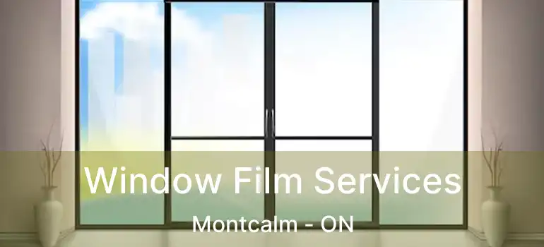  Window Film Services Montcalm - ON