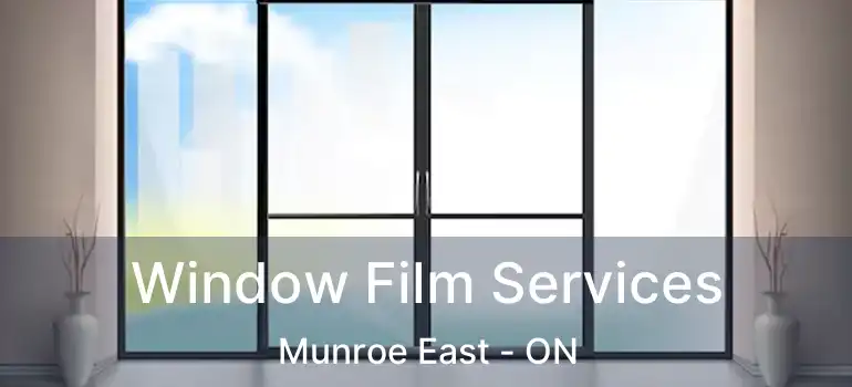  Window Film Services Munroe East - ON