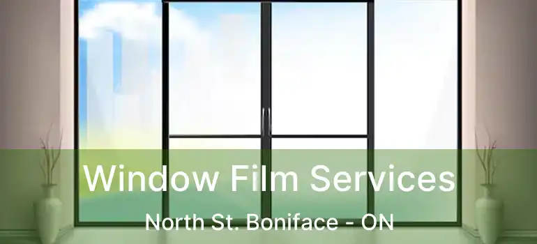  Window Film Services North St. Boniface - ON