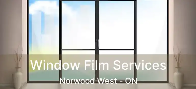  Window Film Services Norwood West - ON