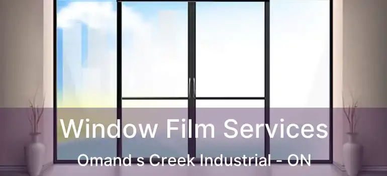  Window Film Services Omand s Creek Industrial - ON