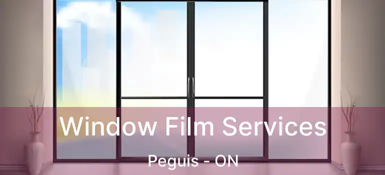  Window Film Services Peguis - ON