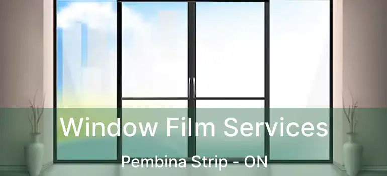  Window Film Services Pembina Strip - ON