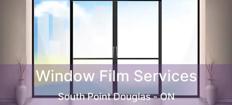  Window Film Services South Point Douglas - ON