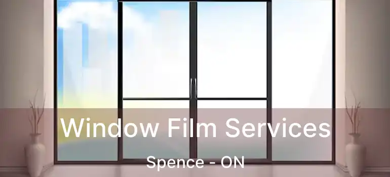  Window Film Services Spence - ON