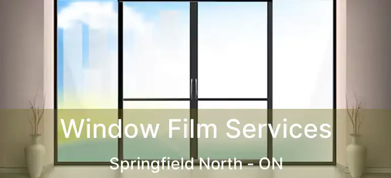  Window Film Services Springfield North - ON