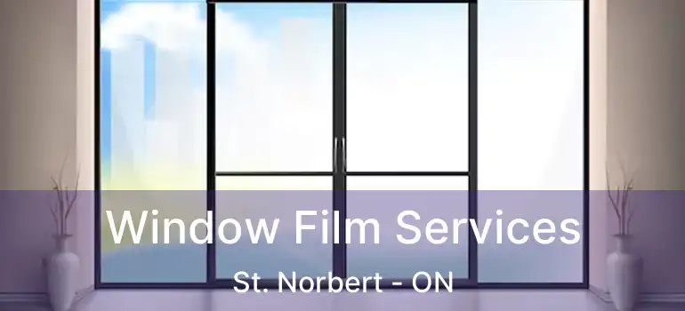  Window Film Services St. Norbert - ON