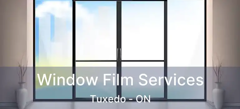  Window Film Services Tuxedo - ON