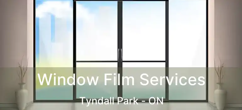  Window Film Services Tyndall Park - ON