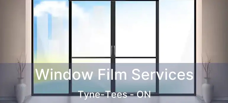  Window Film Services Tyne-Tees - ON