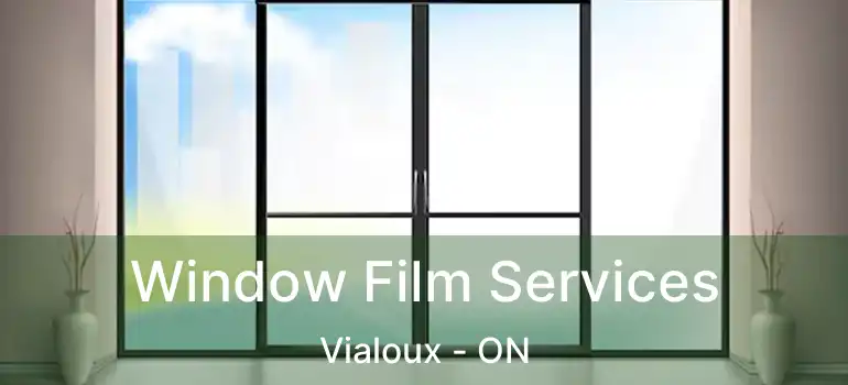  Window Film Services Vialoux - ON