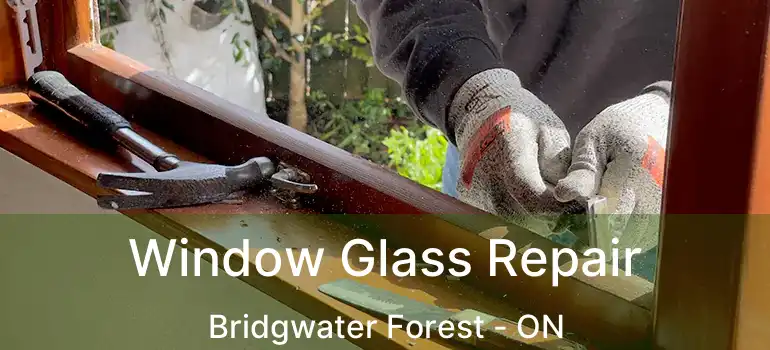  Window Glass Repair Bridgwater Forest - ON