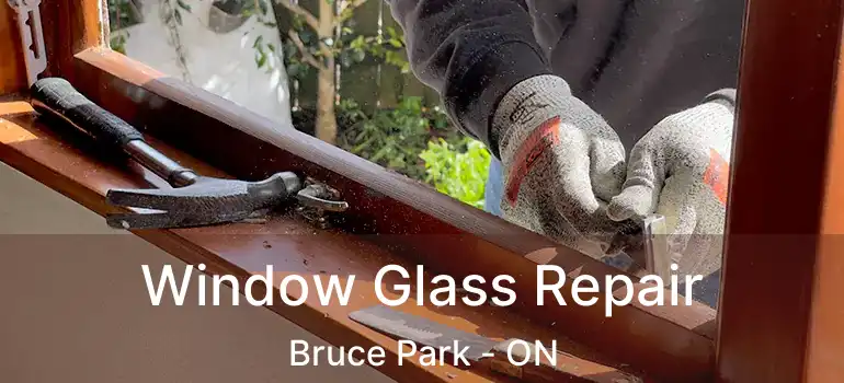  Window Glass Repair Bruce Park - ON