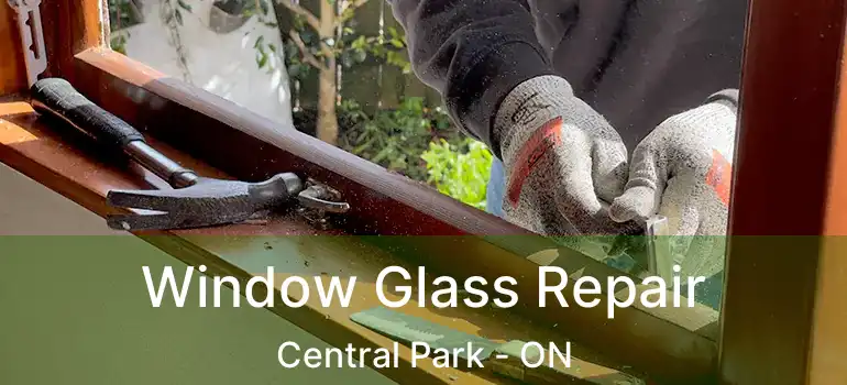  Window Glass Repair Central Park - ON