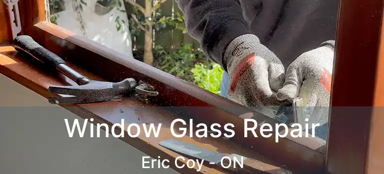  Window Glass Repair Eric Coy - ON
