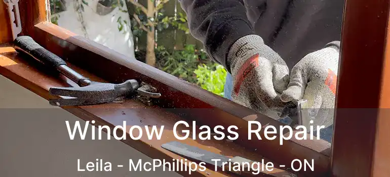  Window Glass Repair Leila - McPhillips Triangle - ON