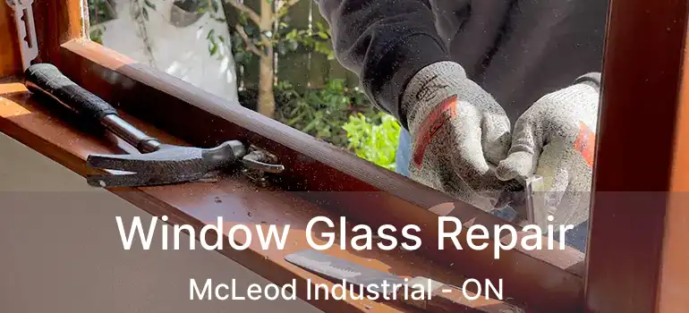  Window Glass Repair McLeod Industrial - ON