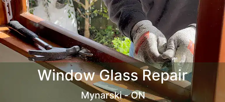  Window Glass Repair Mynarski - ON