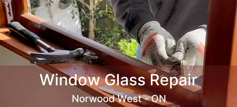  Window Glass Repair Norwood West - ON