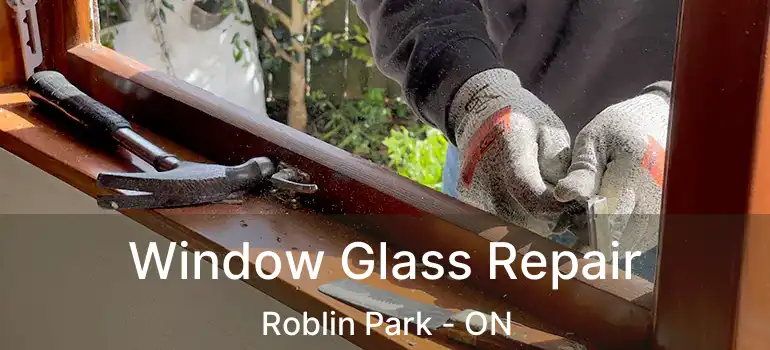  Window Glass Repair Roblin Park - ON