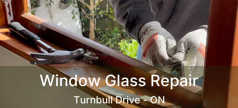  Window Glass Repair Turnbull Drive - ON