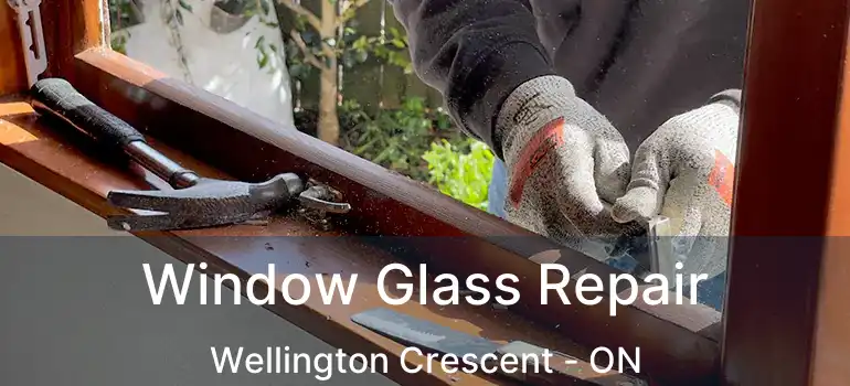  Window Glass Repair Wellington Crescent - ON