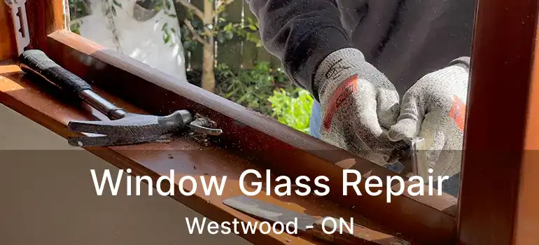  Window Glass Repair Westwood - ON