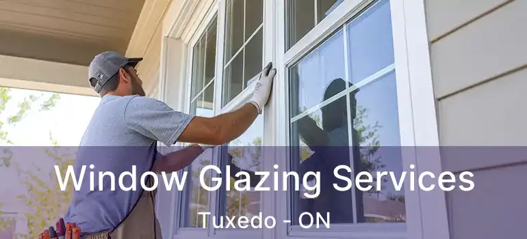  Window Glazing Services Tuxedo - ON