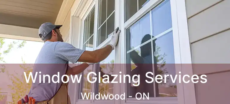  Window Glazing Services Wildwood - ON