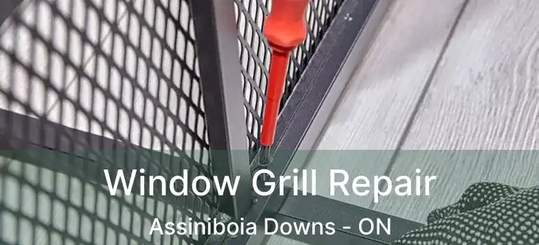  Window Grill Repair Assiniboia Downs - ON