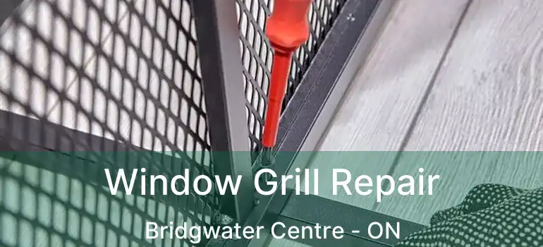  Window Grill Repair Bridgwater Centre - ON