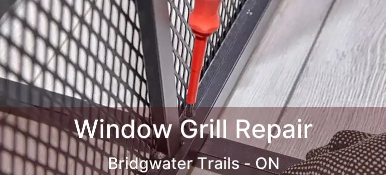  Window Grill Repair Bridgwater Trails - ON