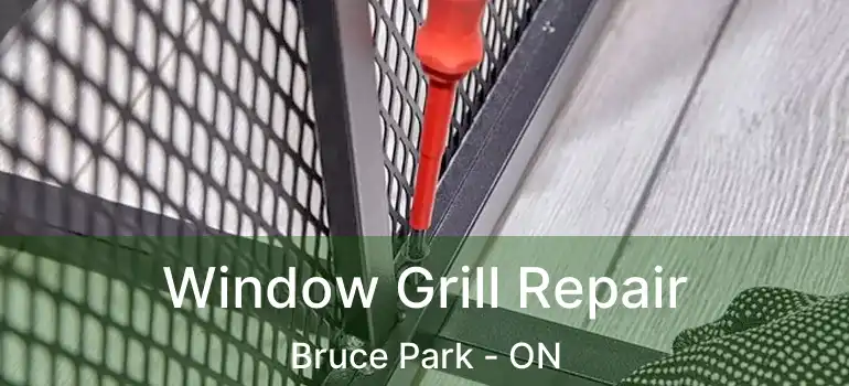  Window Grill Repair Bruce Park - ON