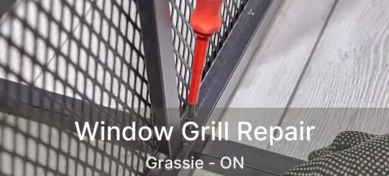  Window Grill Repair Grassie - ON