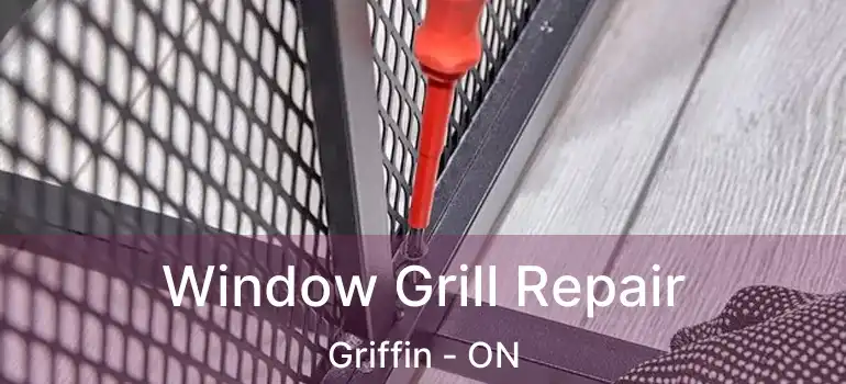  Window Grill Repair Griffin - ON