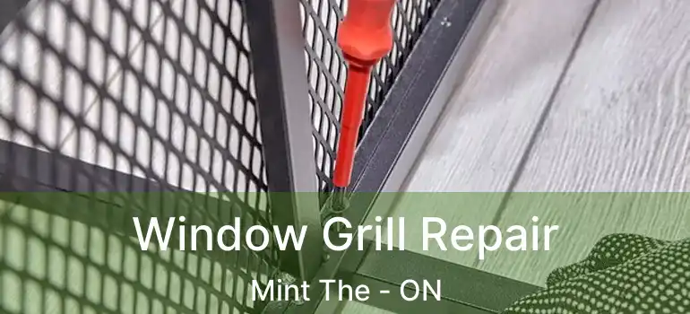  Window Grill Repair Mint The - ON
