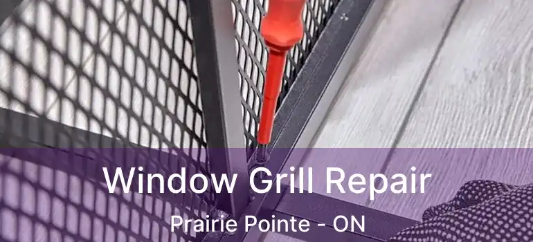  Window Grill Repair Prairie Pointe - ON