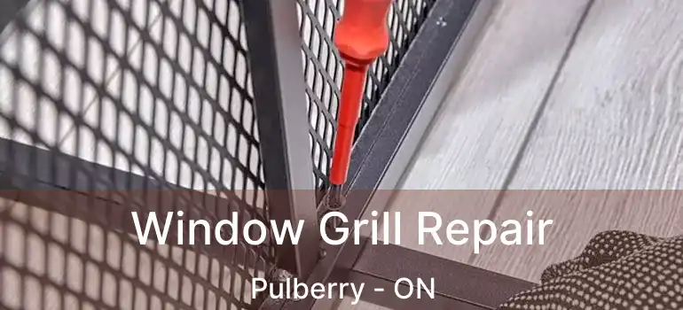  Window Grill Repair Pulberry - ON