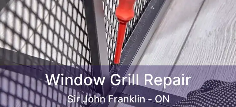  Window Grill Repair Sir John Franklin - ON