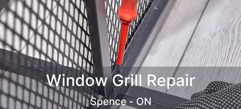  Window Grill Repair Spence - ON