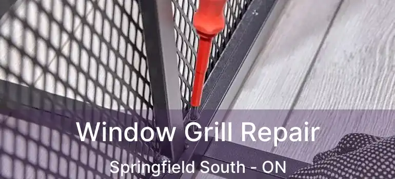  Window Grill Repair Springfield South - ON