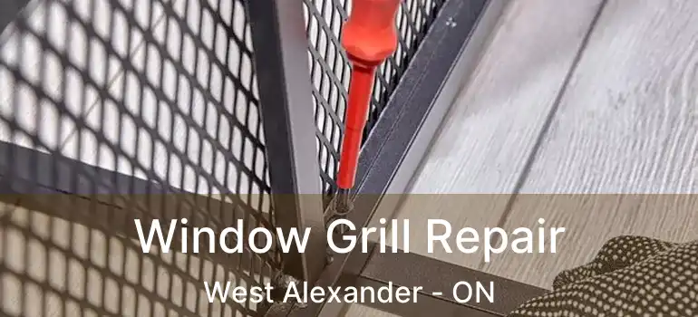  Window Grill Repair West Alexander - ON