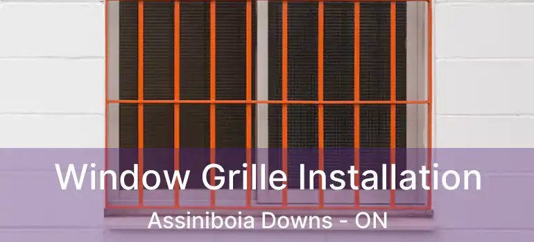  Window Grille Installation Assiniboia Downs - ON