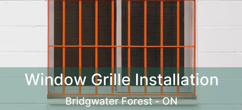  Window Grille Installation Bridgwater Forest - ON