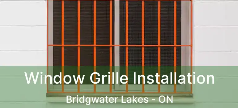  Window Grille Installation Bridgwater Lakes - ON