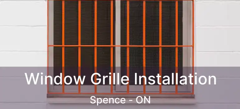  Window Grille Installation Spence - ON