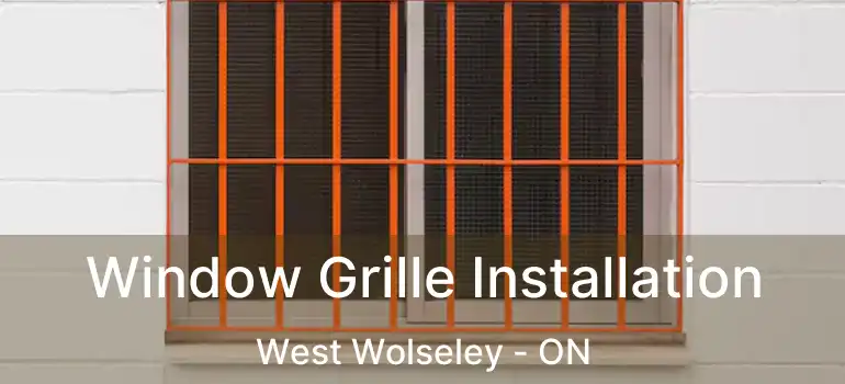  Window Grille Installation West Wolseley - ON